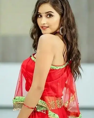 Call Girls Service Gudiyatham